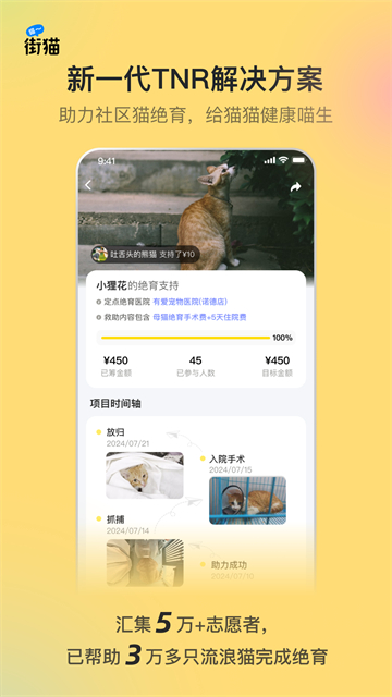 哈啰街猫下载