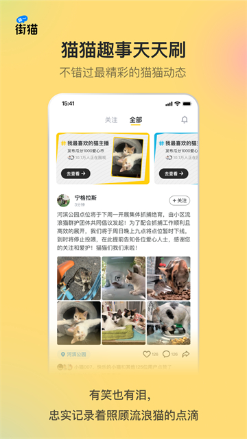 哈啰街猫下载