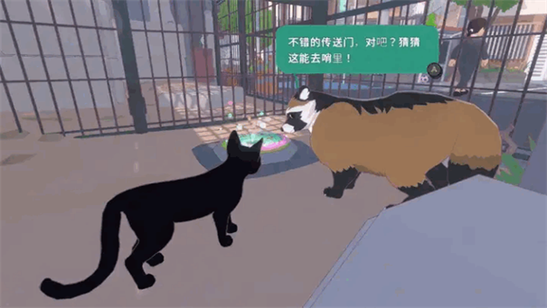 小猫咪大城市下载