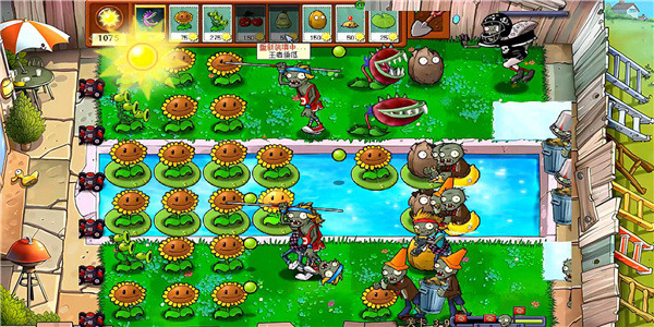 植物大战僵尸原版 植物大战僵尸原版
