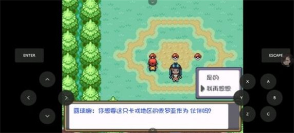 宝可梦极夜永昼