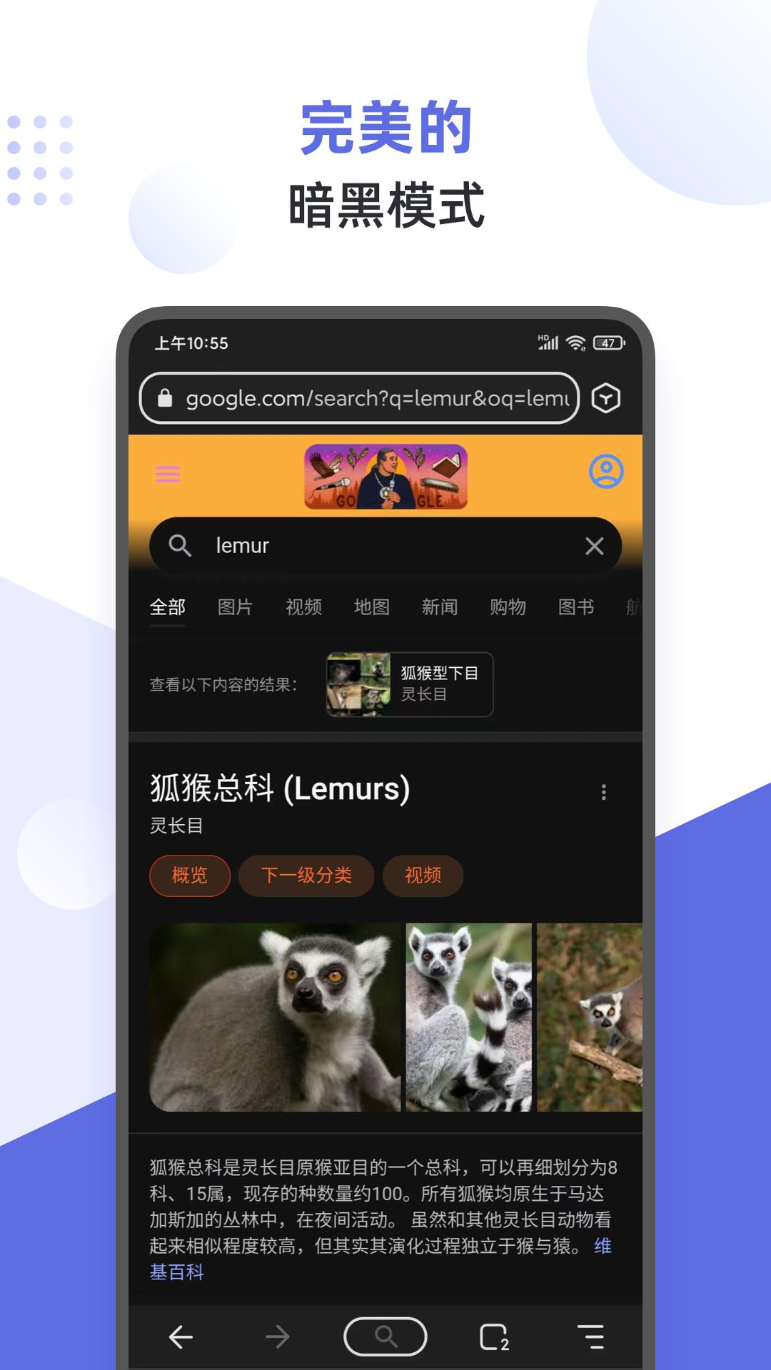 狐猴浏览器下载