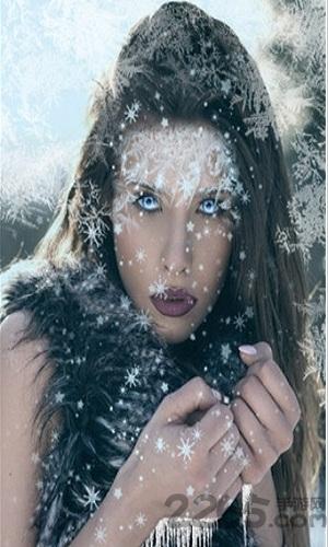 精选菜谱最新版下载