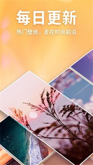 灵猫主题壁纸免费版下载