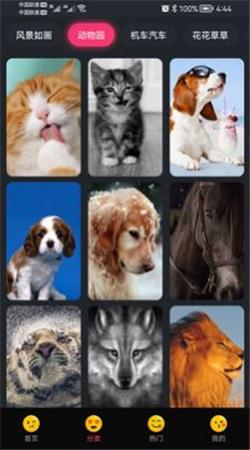 轻甜心手机版下载