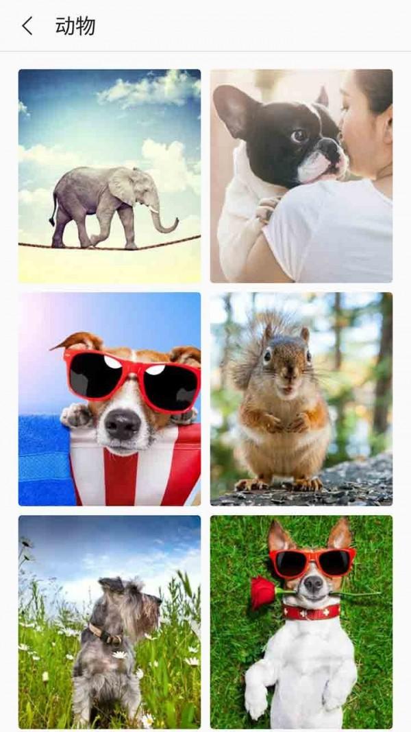 芒果壁纸手机版下载