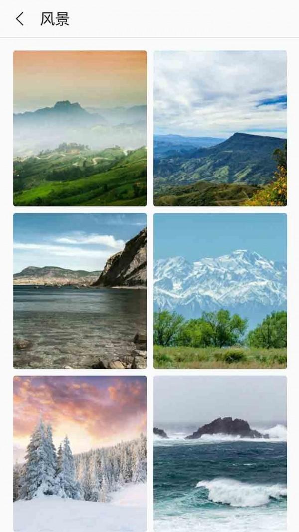 芒果壁纸手机版下载