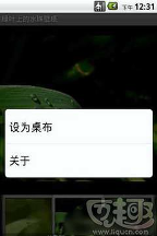 绿叶上的水珠主题壁纸手机版下载